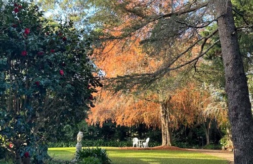 North Tamborine Cottage | Private cottage inside Avalon Gardens estate, stroll to Gallery Walk