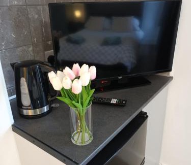 Ipswich House | Private En-Suite Room by Christchurch Park