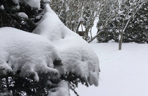 Saanich East Cottage | Private entrance cottage