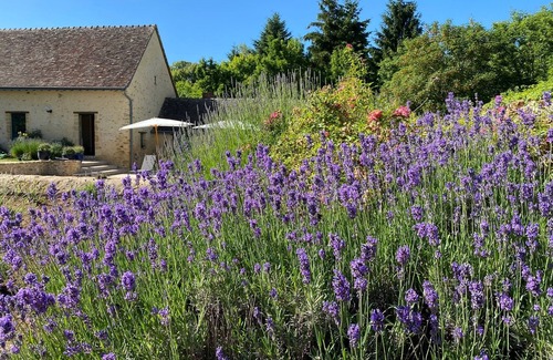 Lombron House | Private luxury castle for 24H du MANS, for privatization 5 days min