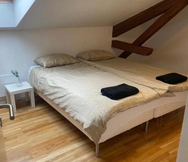 Grunerlokka Apartment | Private Rom for two in Oslo City center-Main Street-Walking distance