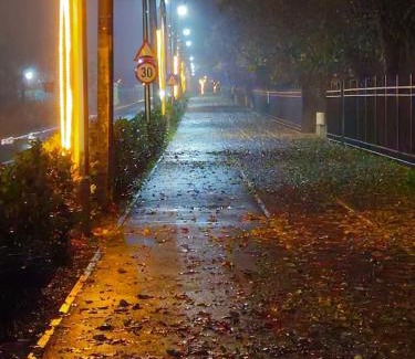 Voluntari House | Private Room in Voluntari Quiet & Cozy Stay