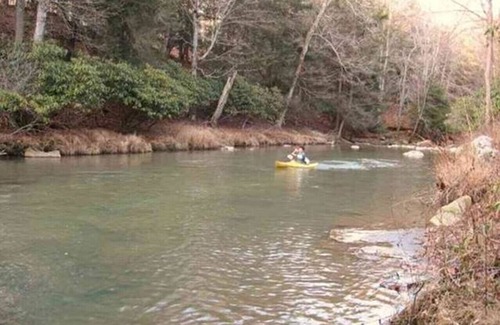 Elk Garden Cabin | Private, Rustic Cabin Situated Near Hiking, Abrams Creek and Beautiful Scenery