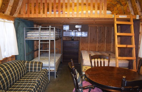 Elk Garden Cabin | Private, Rustic Cabin Situated Near Hiking, Abrams Creek and Beautiful Scenery