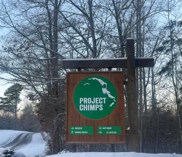 Mineral Bluff House | Project Chimps Historic Cabin