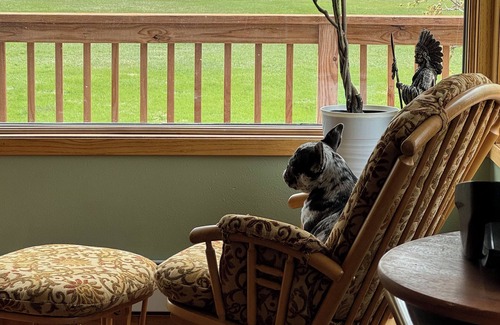 Great Falls Cottage | Prolific View on River w/Hot Tub. Fishing Boat available. Golf. 7.5 acres