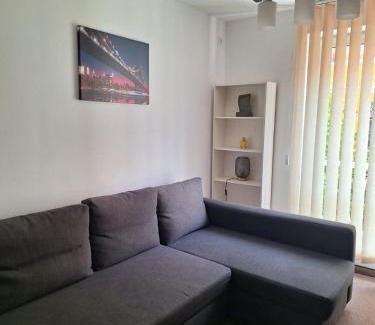 Tirgu Mures Apartment | Promenade apartment