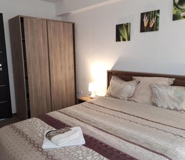 Tirgu Mures Apartment | Promenade apartment