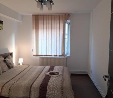 Tirgu Mures Apartment | Promenade apartment