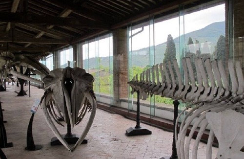 Calci House | Promotion Studio apartment with pool