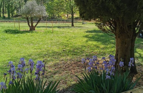 Salernes House | Property *for 8 people- 1.2 hectares-1 pond