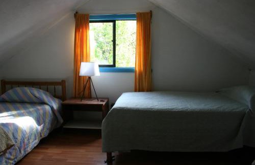 Pucon Bed & Breakfast | Pucón Forest Wellness