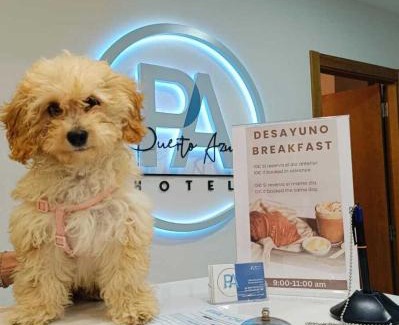 Puerto de la Cruz Hotel | Puerto Azul