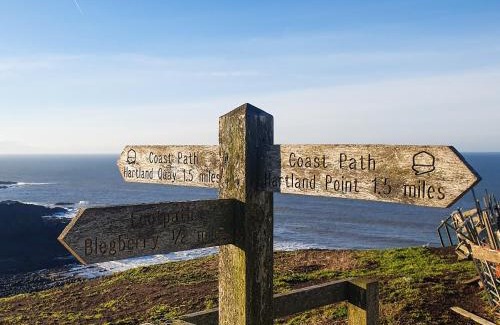 Hartland House | Puffin House - Uk46843