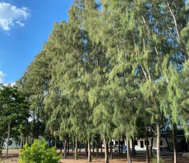 Bang Pahan Resort | Pun's Garden Home