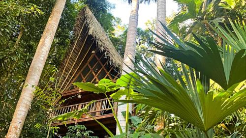 San Antonio de Cumbaza Cabin | PUQIO ECOLODGE