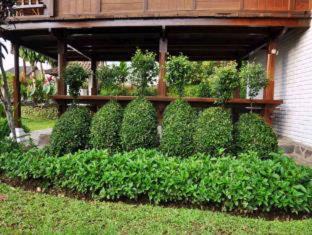 Munduk Resort | Puri Lumbung Cottages Restaurant & Spa Munduk