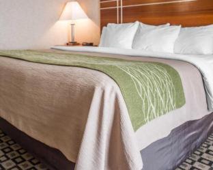 Clarion Hotel | Quality Inn Clarion
