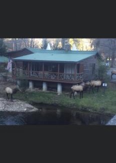 Cherokee Hotel | Qualla Cabins and Motel Cherokee near Casino