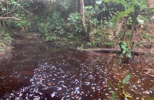 Pati Valley House | Quarto privativo no Quintal dos Sonhos