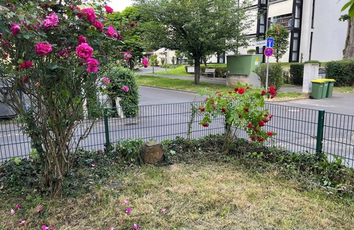 Mehlem Apartment | Quiet beautiful apartment with garden and 2 parking spaces and 1 min. from the Rhine