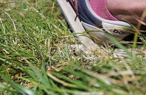 Saint-Martin-la-Garenne House | Quiet Cottage BNB, Maison Paisible du Vexin, Chez Candy