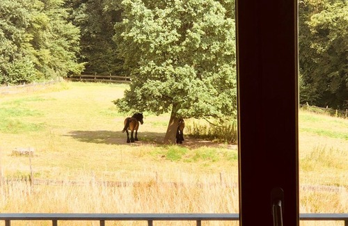 Bergisch Gladbach House | Quiet Nature Near Cologne 1