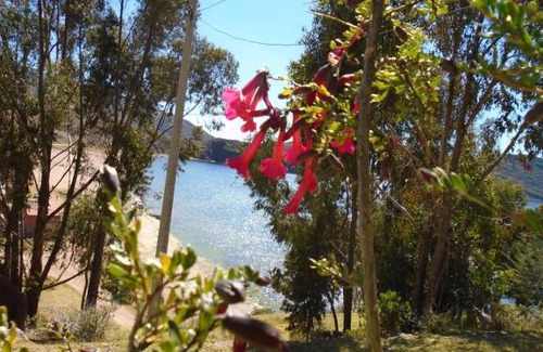 Capachica House | Quillapata Lodge