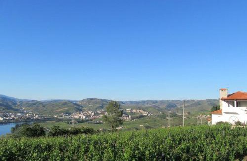 Lamego House | Quinta das Murtinheiras