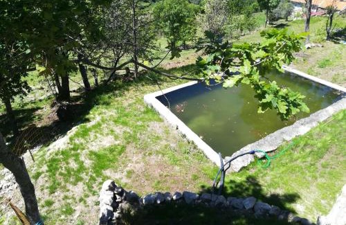 Cinfaes House | Quinta do Sol - Soutelo