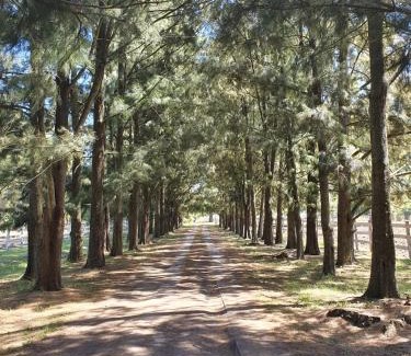 Lobos House | Quinta Maria