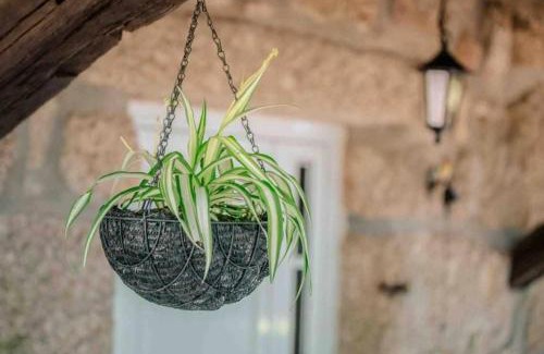 Torrao House | Quinta Vale de Frades