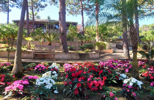 Calvi House | Résidence Les Pins