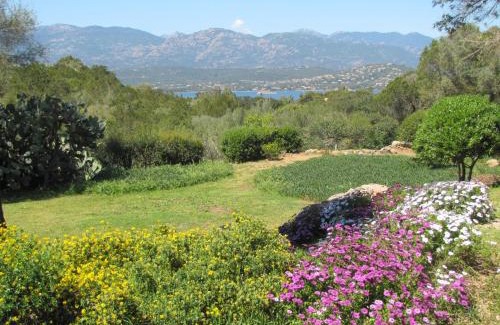 Porto-Vecchio Apartment | Résidence Mari di Soli