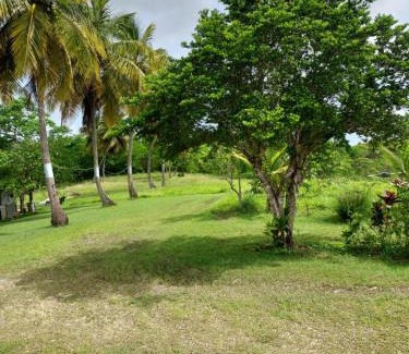 Le Moule Apartment | Résidence Prune café