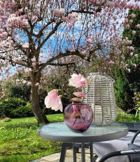 Niedenstein Apartment | R'AUSZEIT