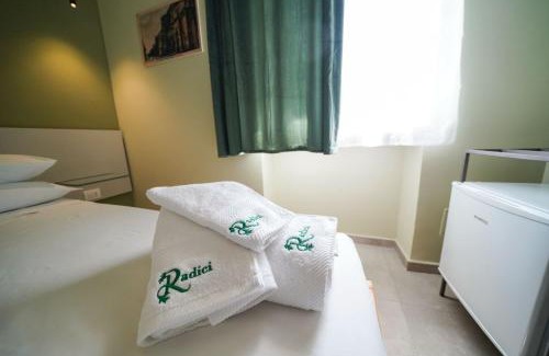 Somma Vesuviana Bed & Breakfast | Radici