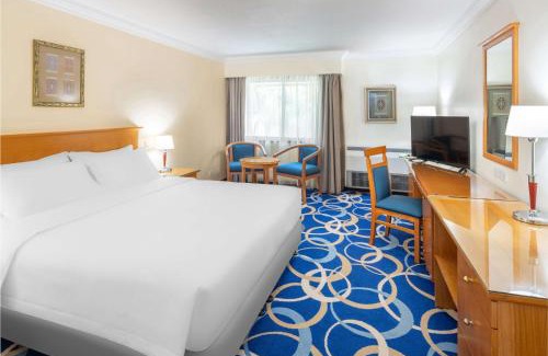 Yanbu Hotel | Radisson Blu Hotel, Yanbu