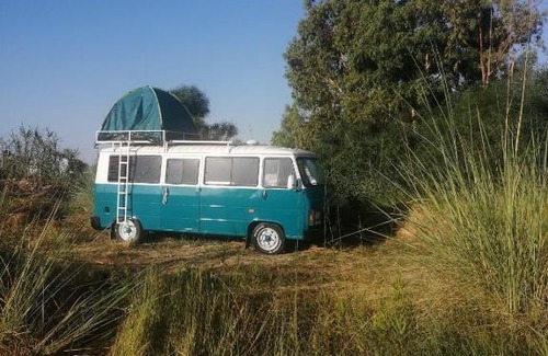 Kemer Other | Ran Karavan