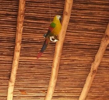 Barichara Apartment | Rancho de Plata