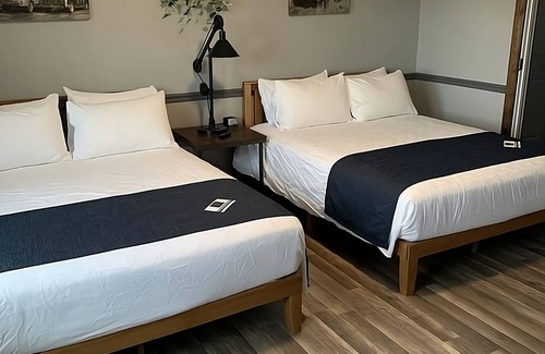 Dillon House | Rare Find! Pet-Friendly Property, Free Breakfast, Close From Outdoor Activity