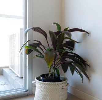 Almagro Apartment | Rawson Park a media cuadra del Hospital Italiano by Debarrio Aparts