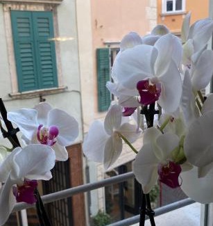 Rovereto Apartment | Rebassotto