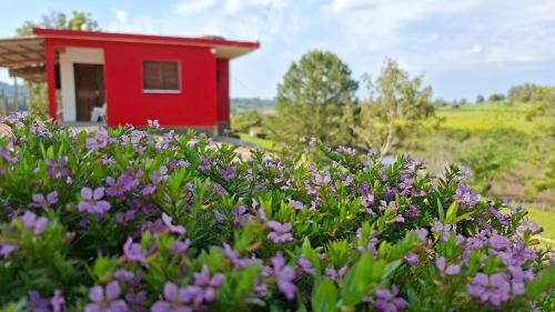 Morro Redondo House | Recanto Bello Morro