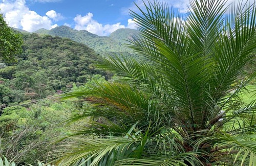 Fazenda Inglesa House | Recanto dos Pássaros