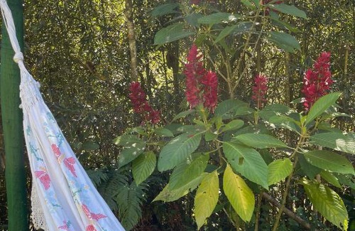 Fazenda Inglesa House | Recanto dos Pássaros