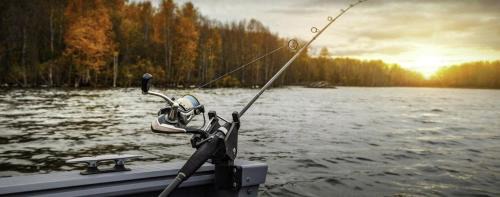 Dordtse Biesbosch Resort | Recreatie Chalet