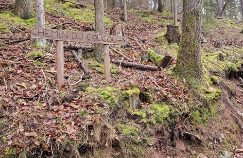 Lautenbach Apartment | Recreation area in nature with history