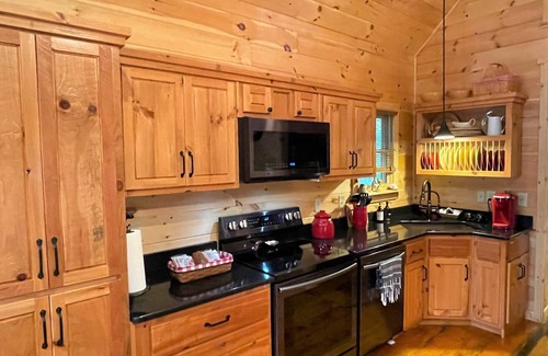 Indian Rock Springs Cabin | Red Door Cabin - couples delight!