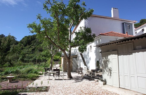 Monserrate Apartment | Red marinheiros stream, between the mountains and the sea